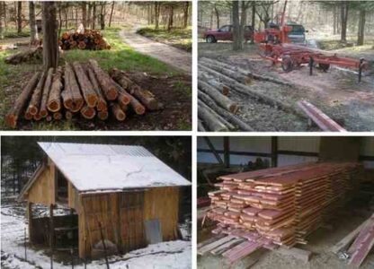 Butchering Biomass: How to Use Every Part of a Cedar Tree Image